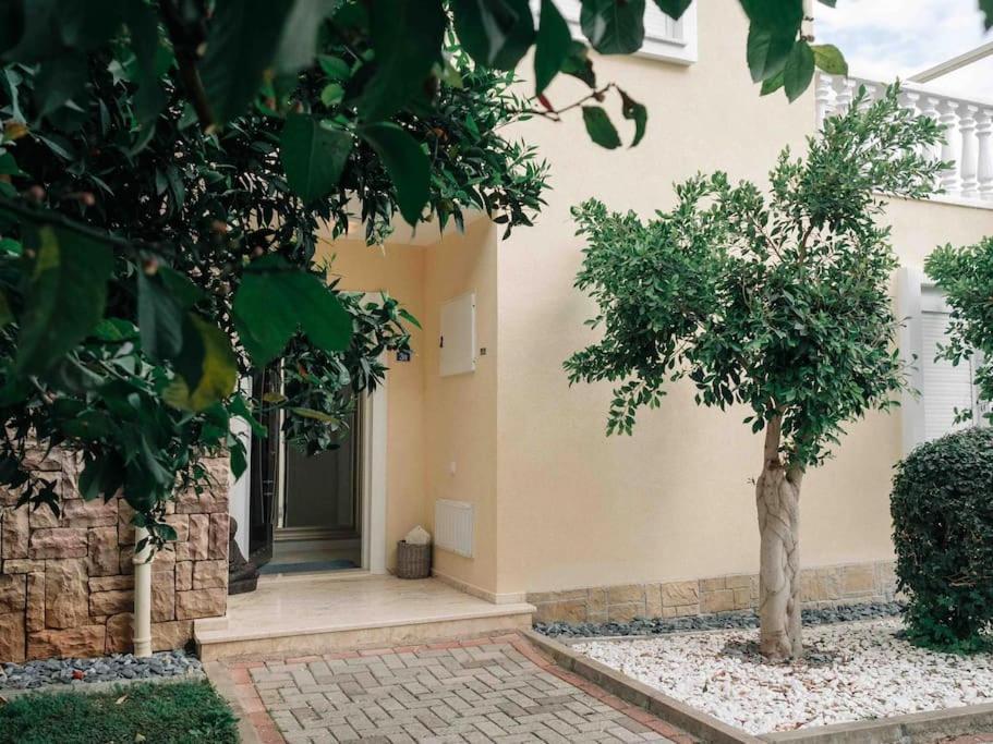 Villa Tepe *