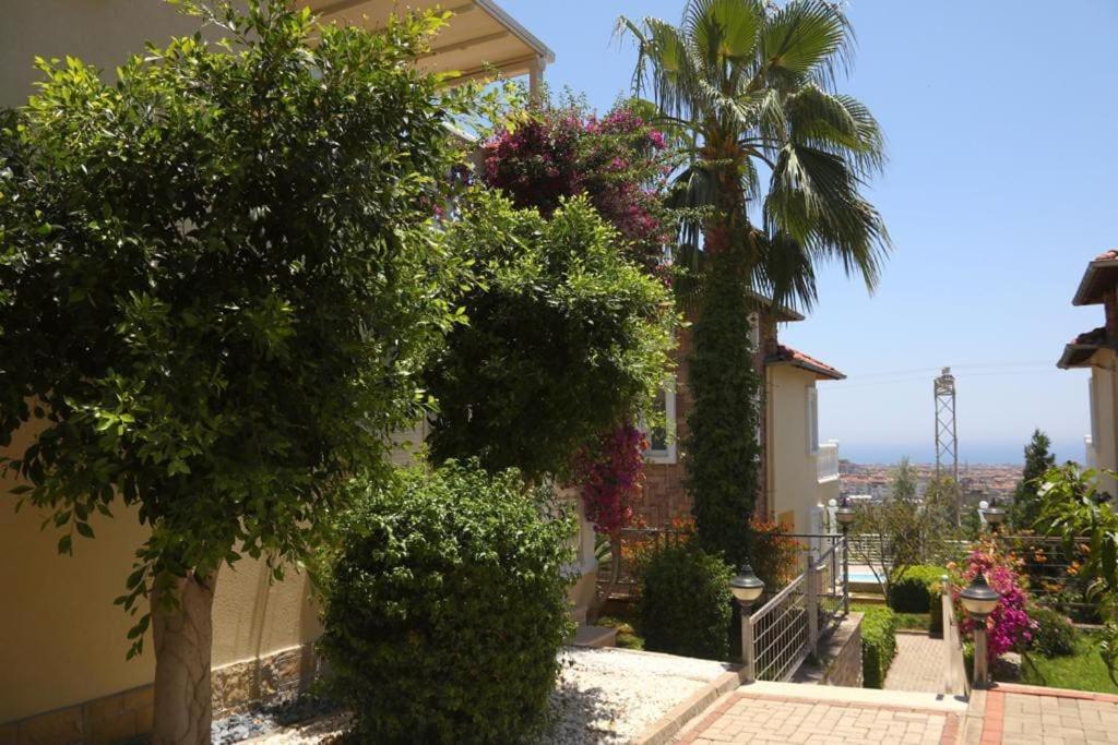 Tepe Alanya