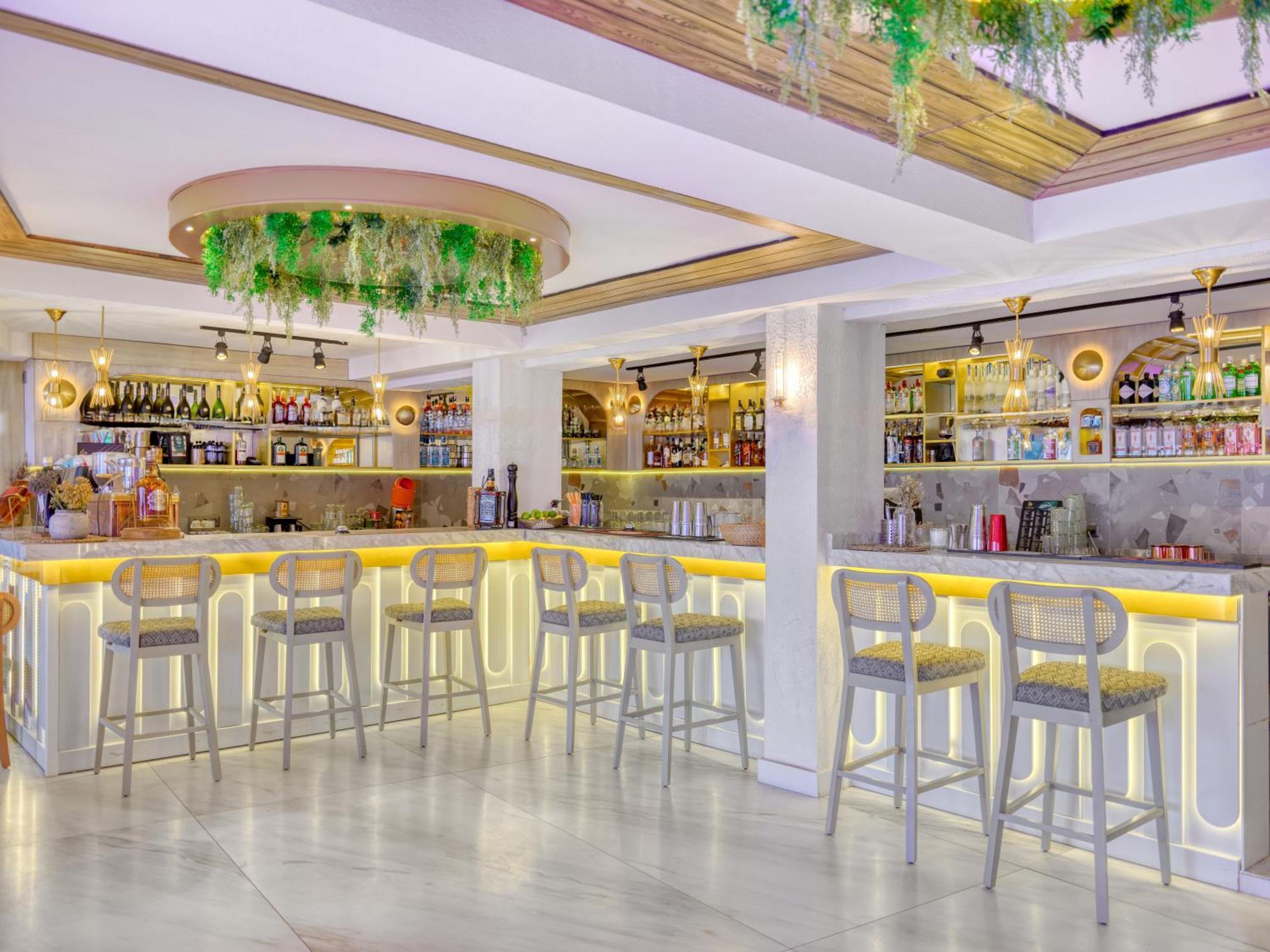Palmiye Alanya