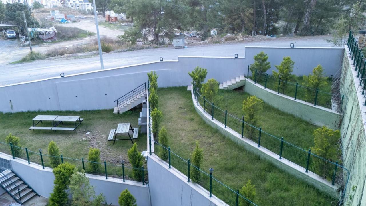 Seda *
