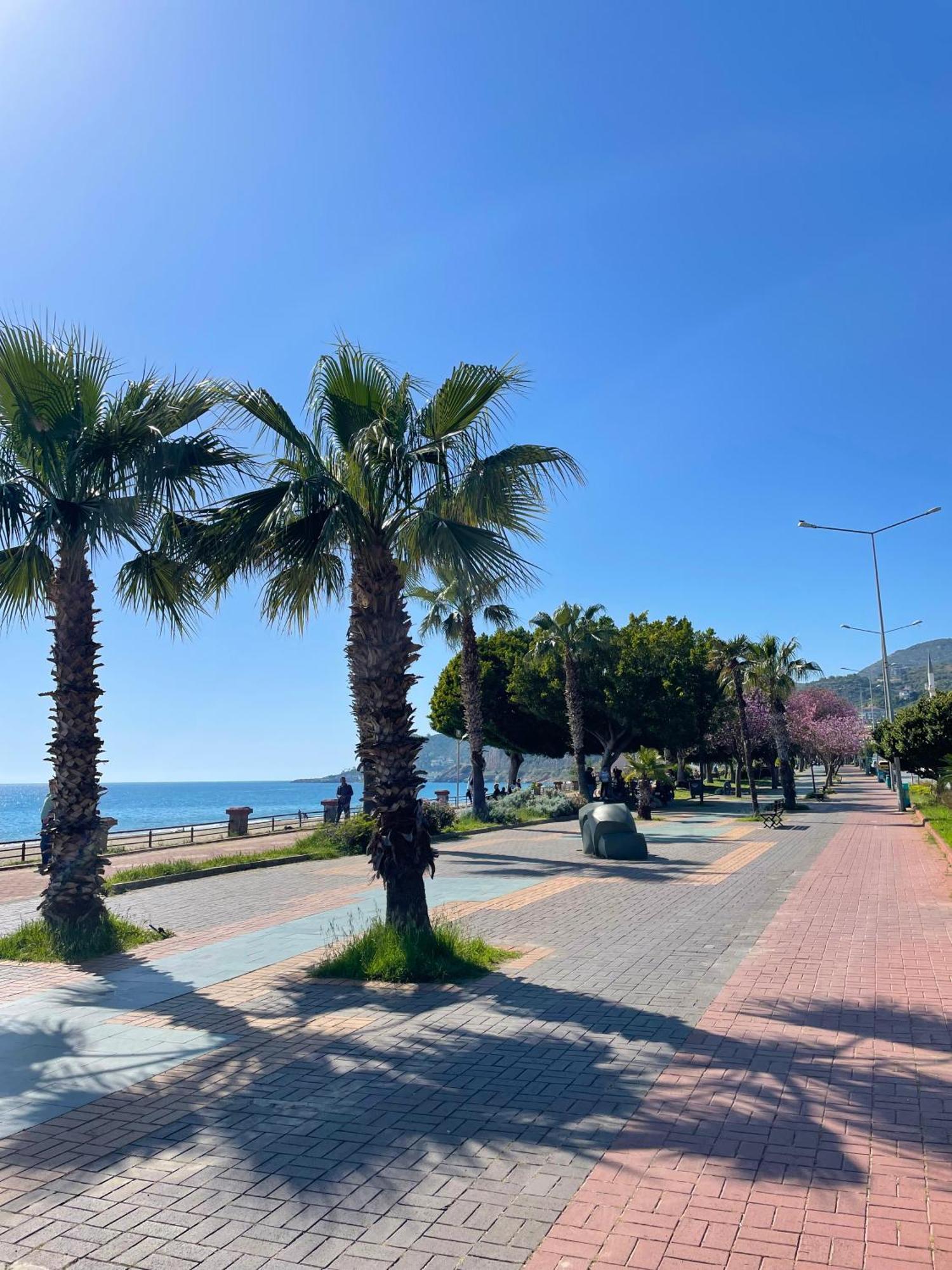 Apartment Family Near Cleopatra Alanya