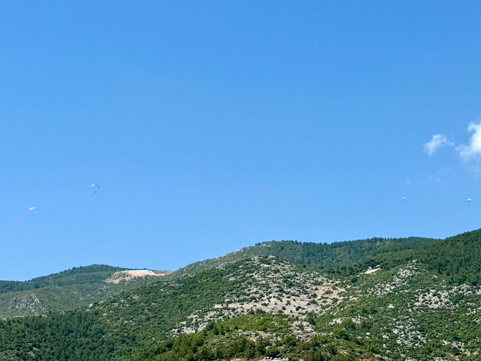 Lejlighed Sa Apartments! 150m To The Cleopatra Alanya