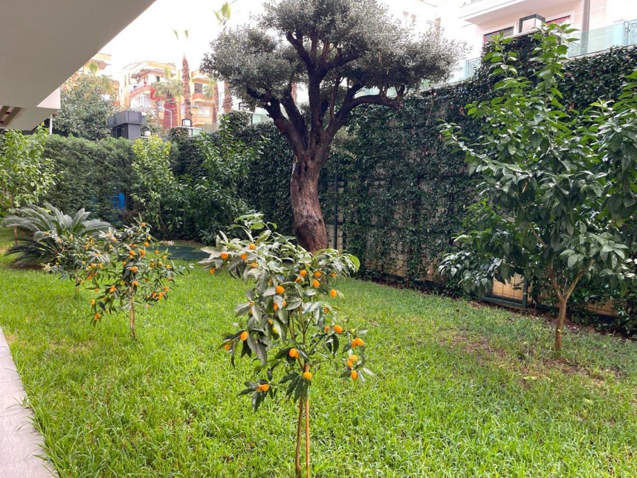 Cosy Flat, Kleopatra Alanya