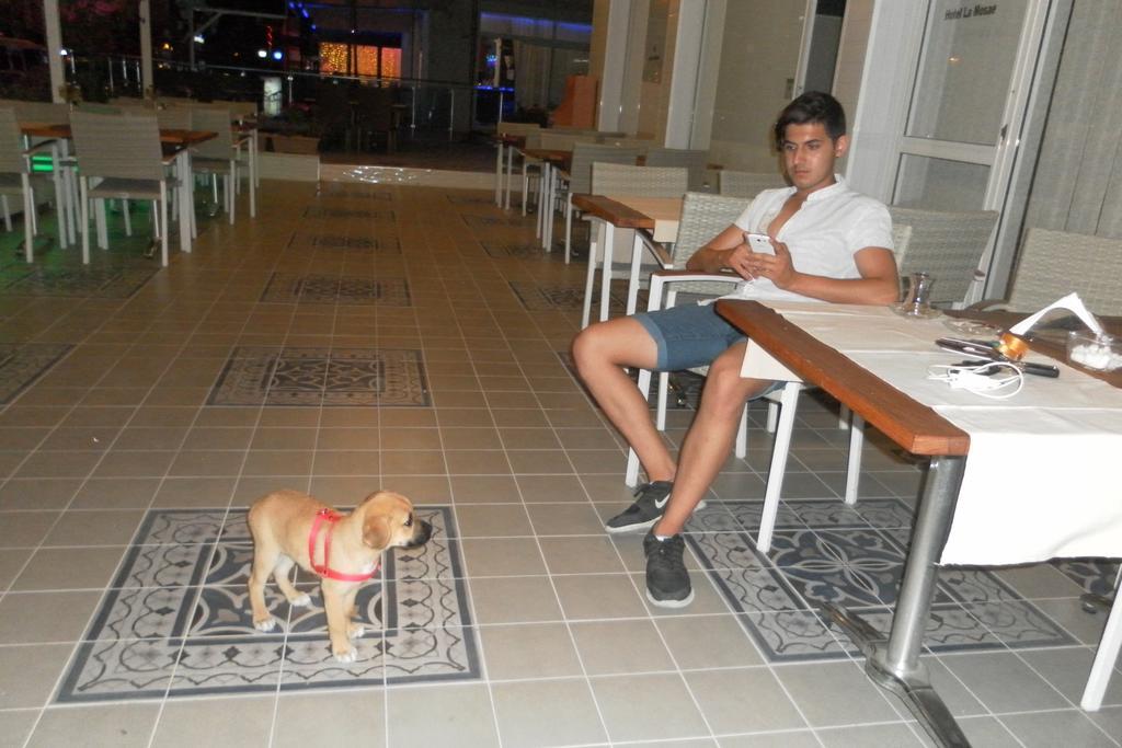 Aparthotel La Mosae 3*