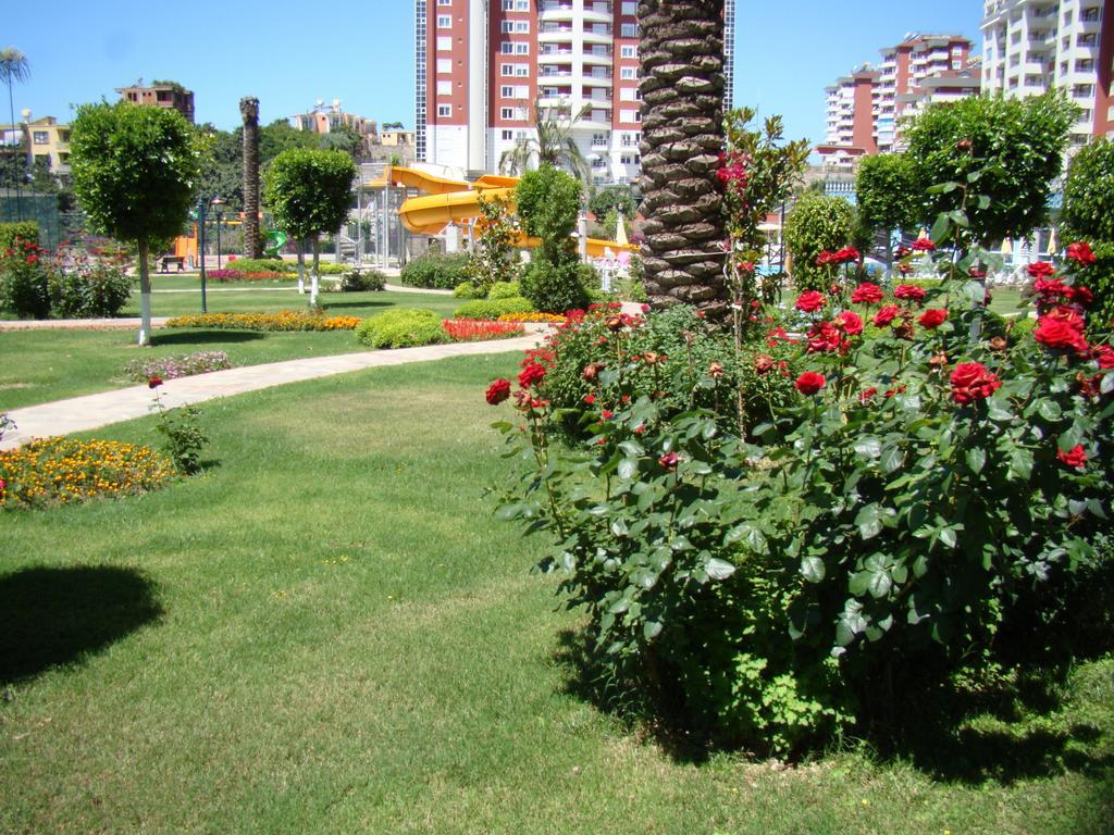 Panorama Garden C2/17