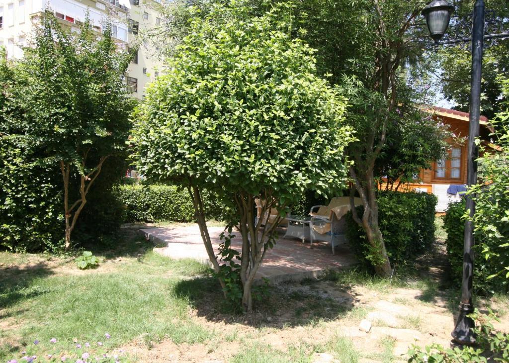 Sevkibey 3*