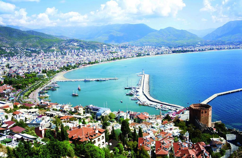 Palmen Alanya