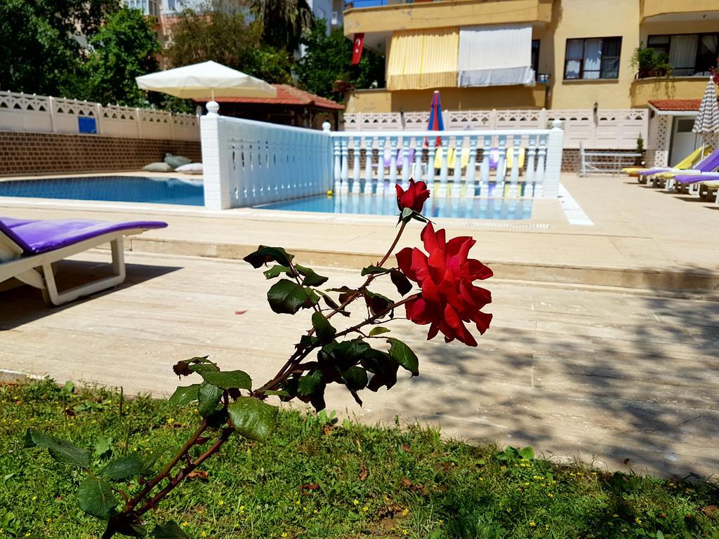 Aparthotel Palmen Alanya