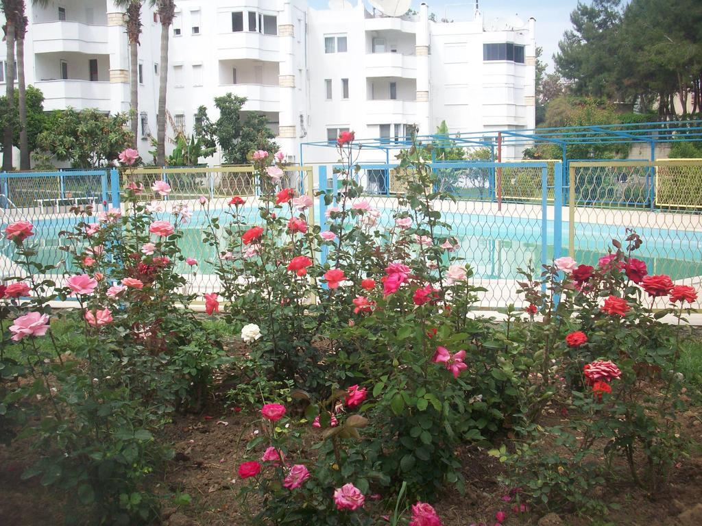 Apartment Alis Camlik