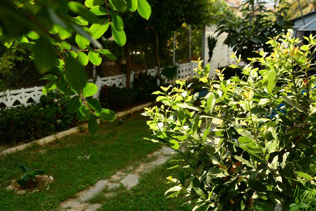 Hotel Pinar