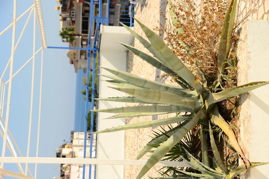 Hotel Pinar