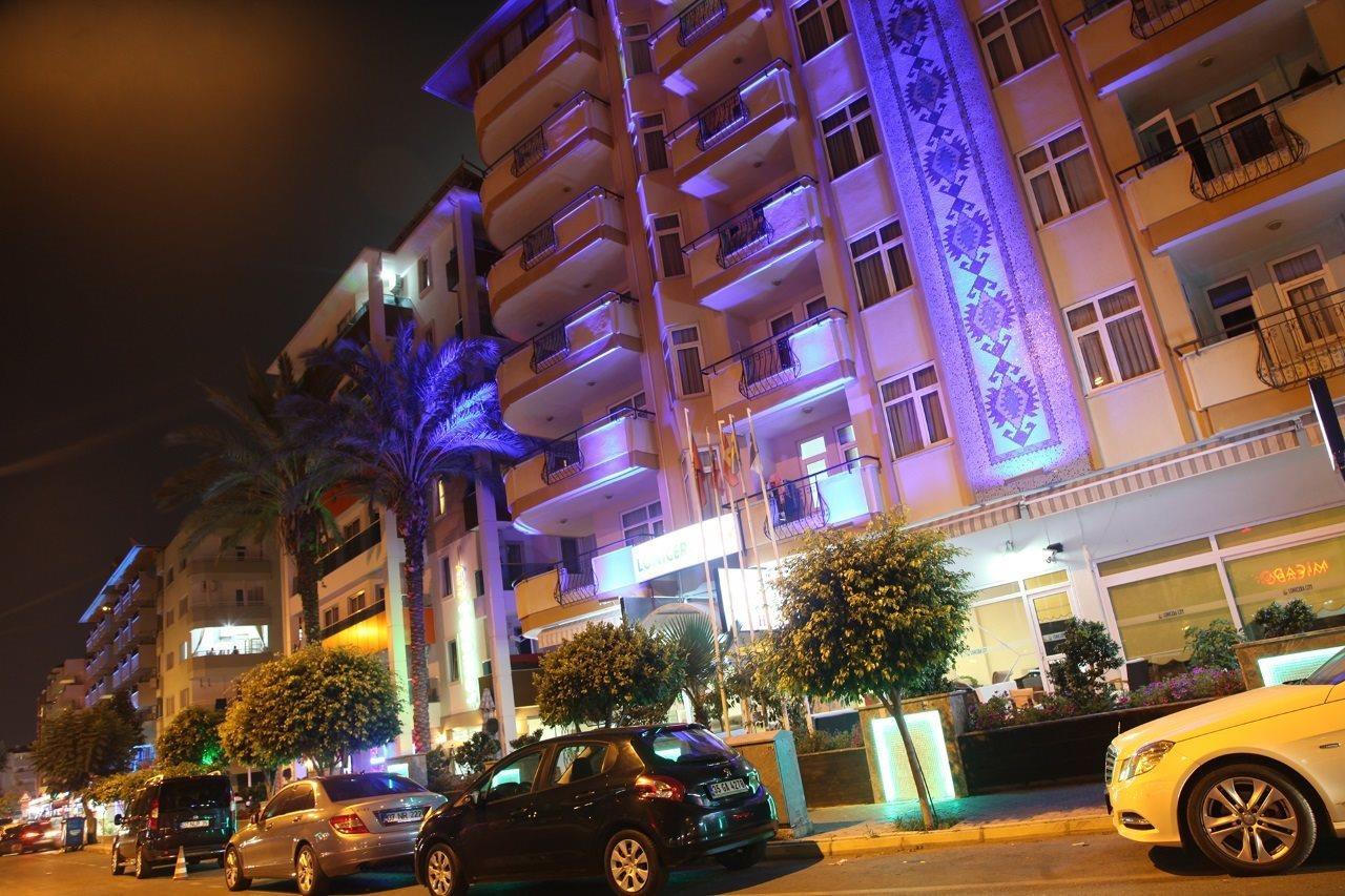 Lonicera Alanya