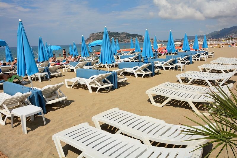 Hotel Avena & 4*