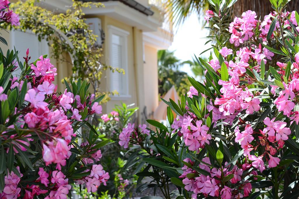 Villa Honeymoon