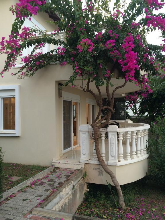 Tepe 1614 * Alanya