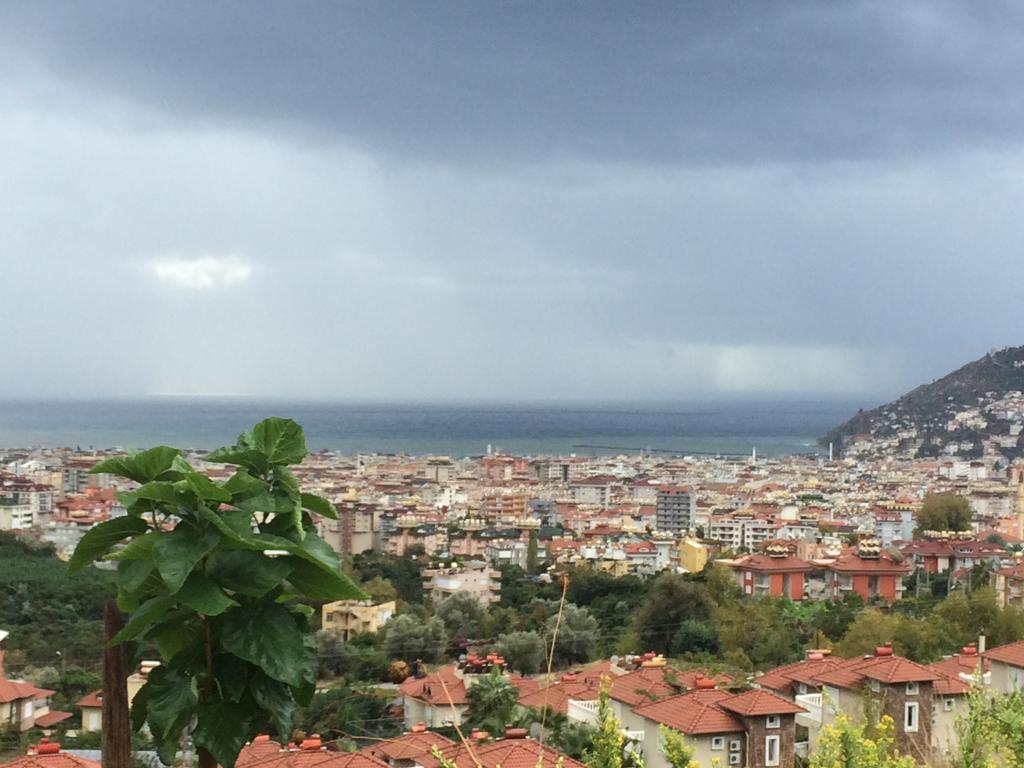 Tepe 1614 Alanya