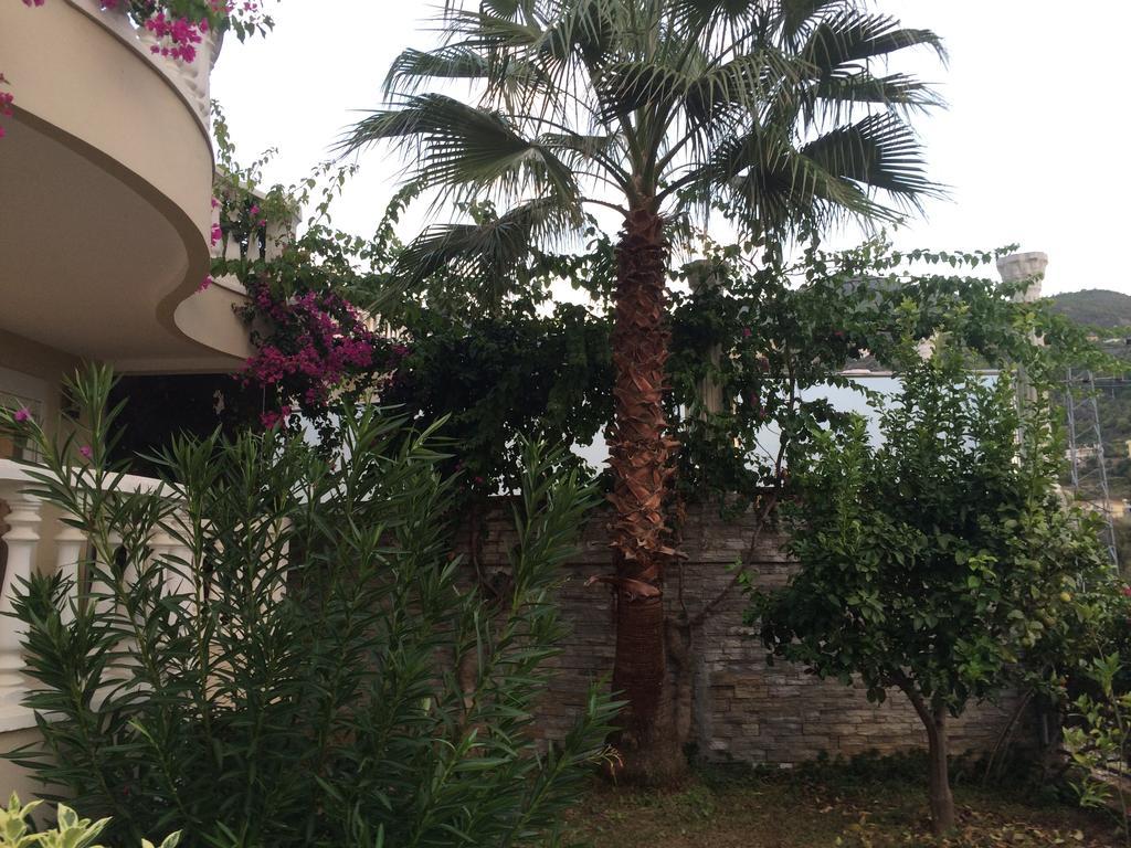 Villa Tepe 1614 *