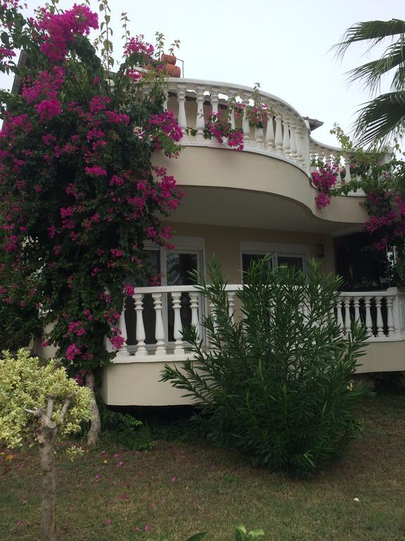 Tepe 1614 Villa Alanya