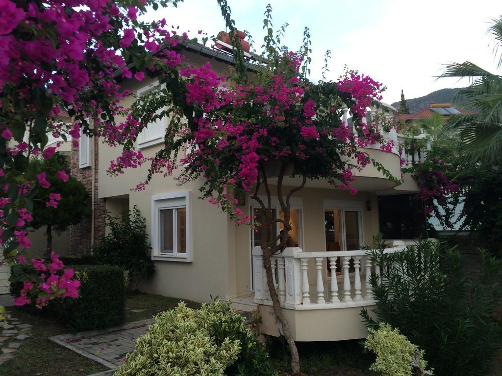 Tepe 1614 Villa