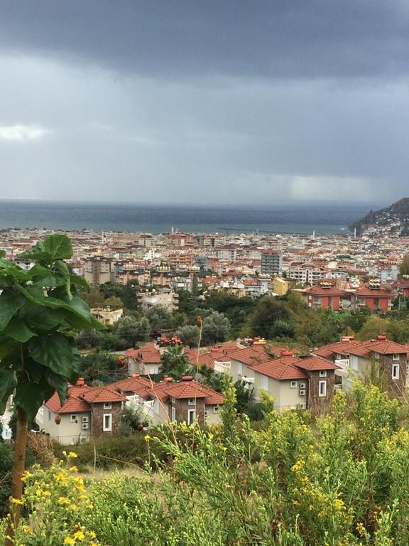 Tepe 1614 Villa *