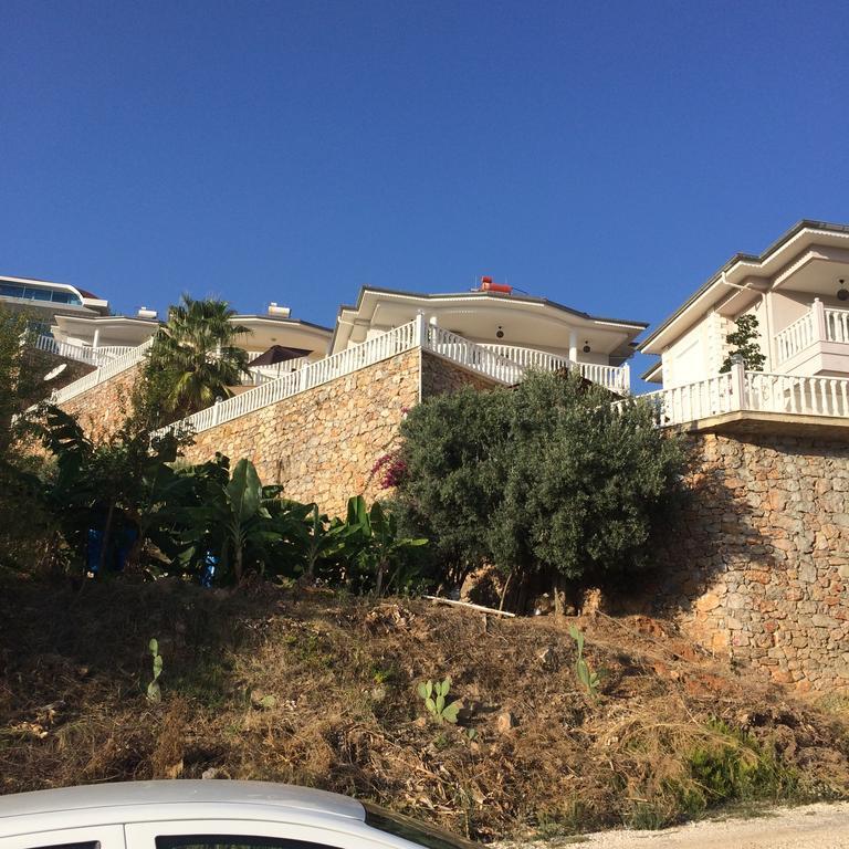 Villa Tepe 1614