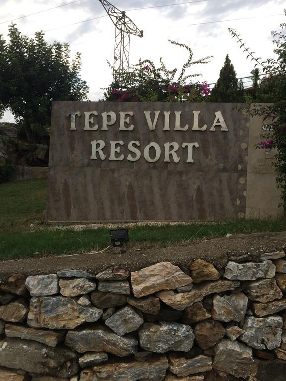 Tepe 1614 Villa Alanya