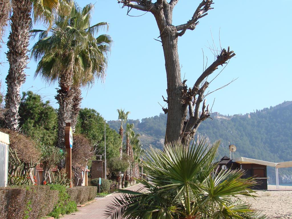 Apartment Besthome 20-1 Alanya