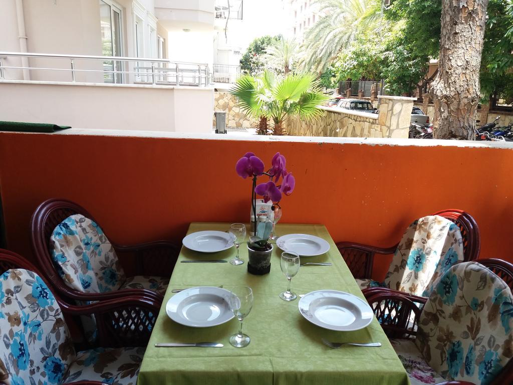 Gray Wolf Oda ve Kahvaltı Alanya