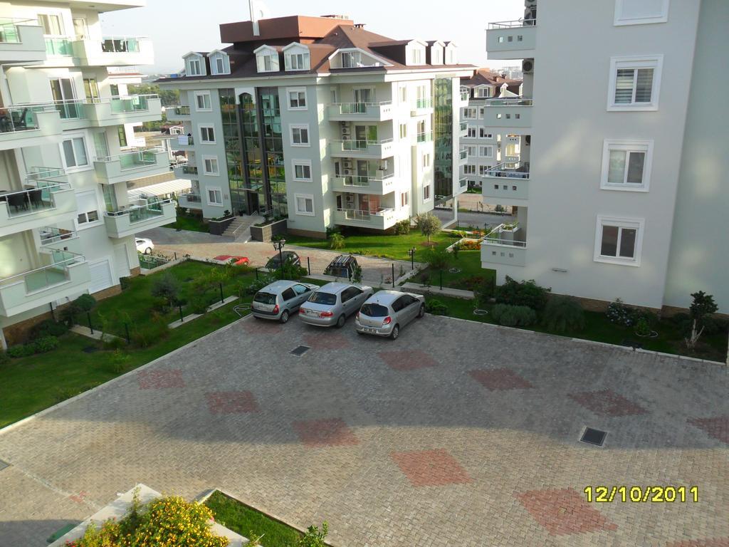 Apartment Olive City 2/9 *