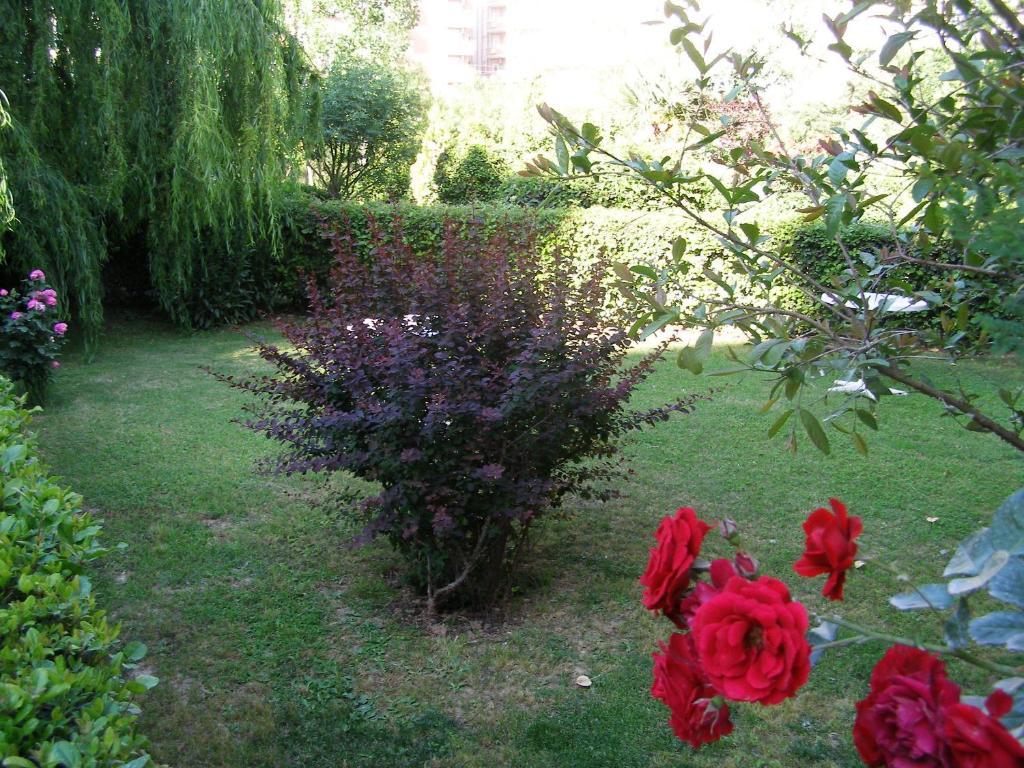 Sevkibey Alanya