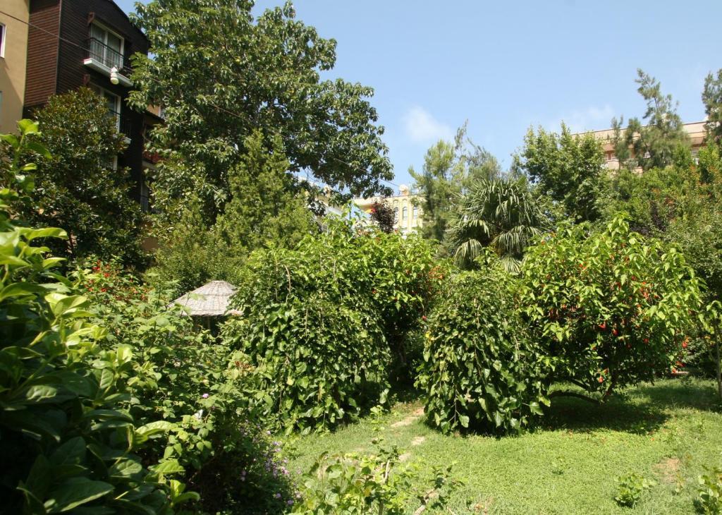 Sevkibey Hotel 3*