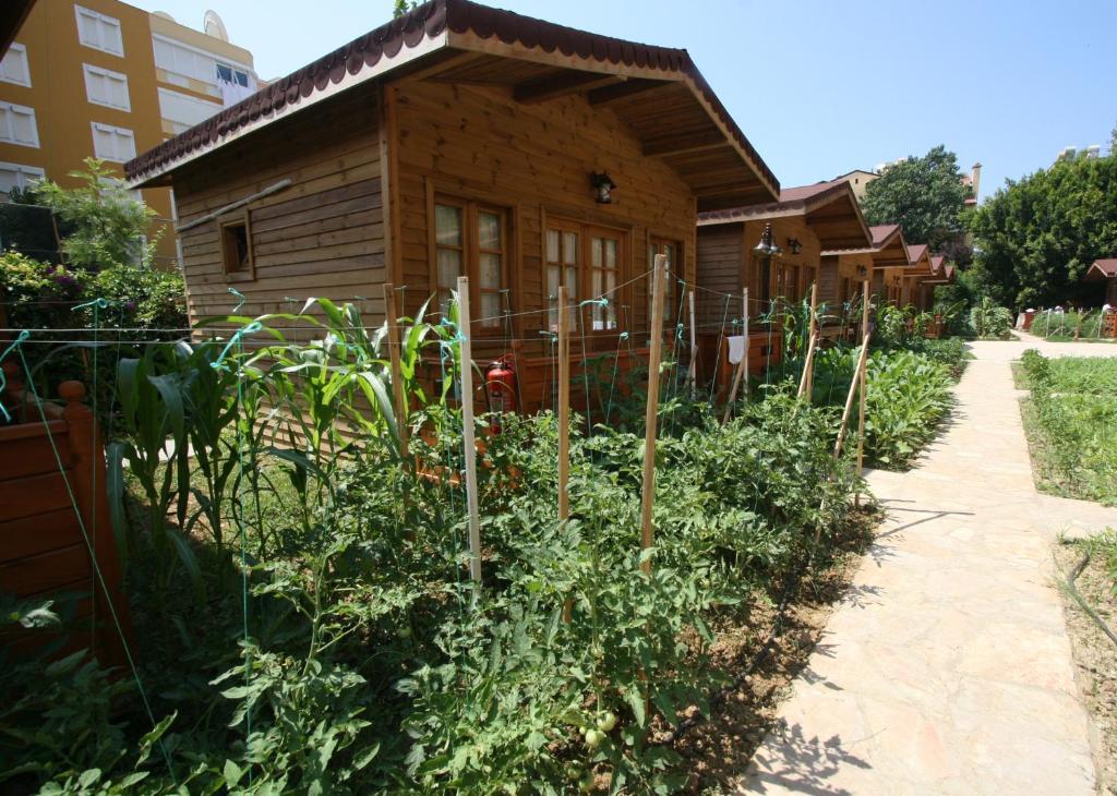 Sevkibey 3*