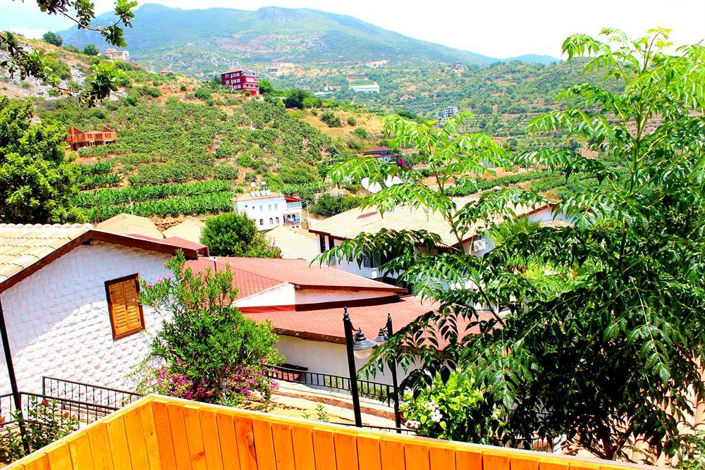Hotel La Marina (adults Only) Alanya