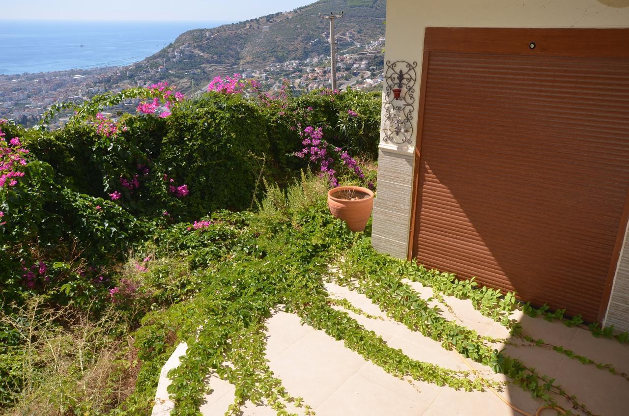 Bektas 5 Ultra Luks Villa *