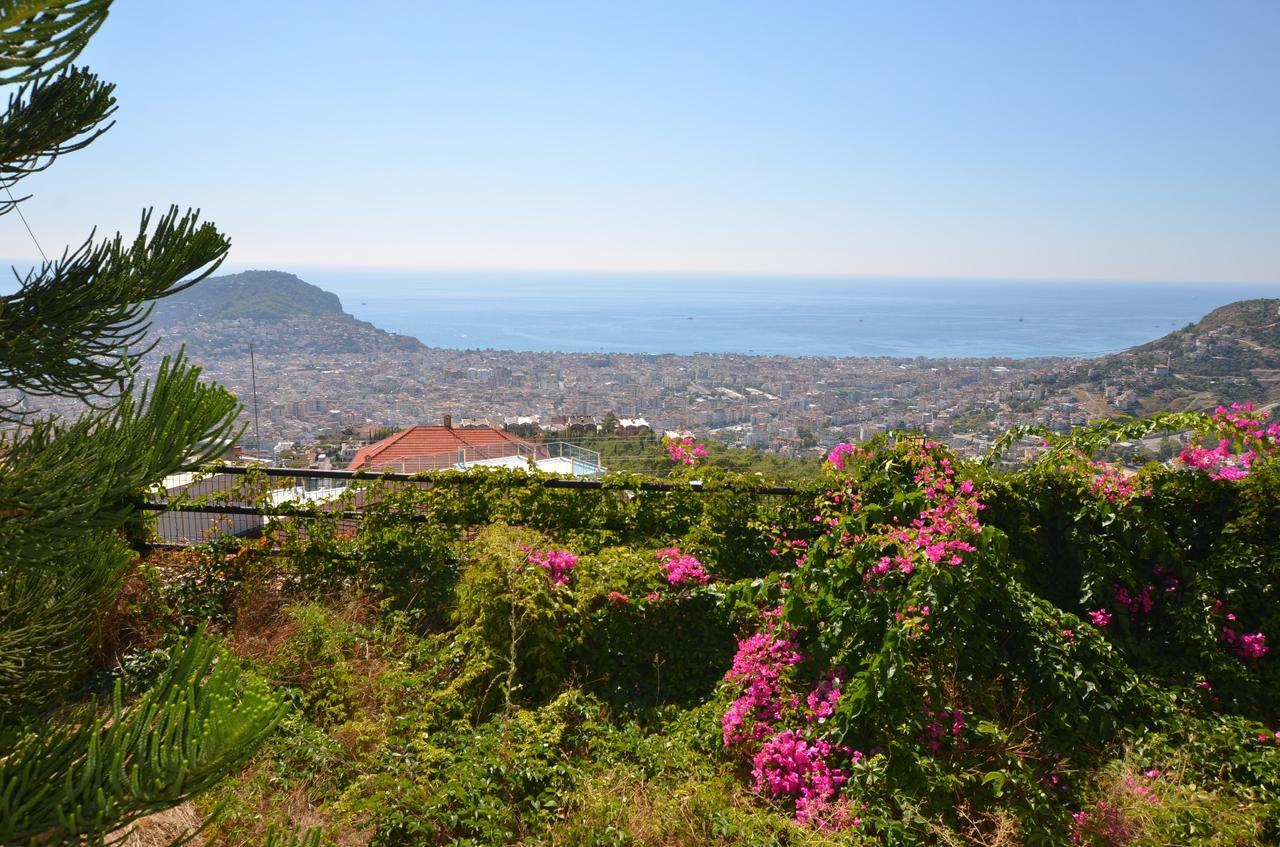 Bektas 5 Ultra Luks Villa Alanya