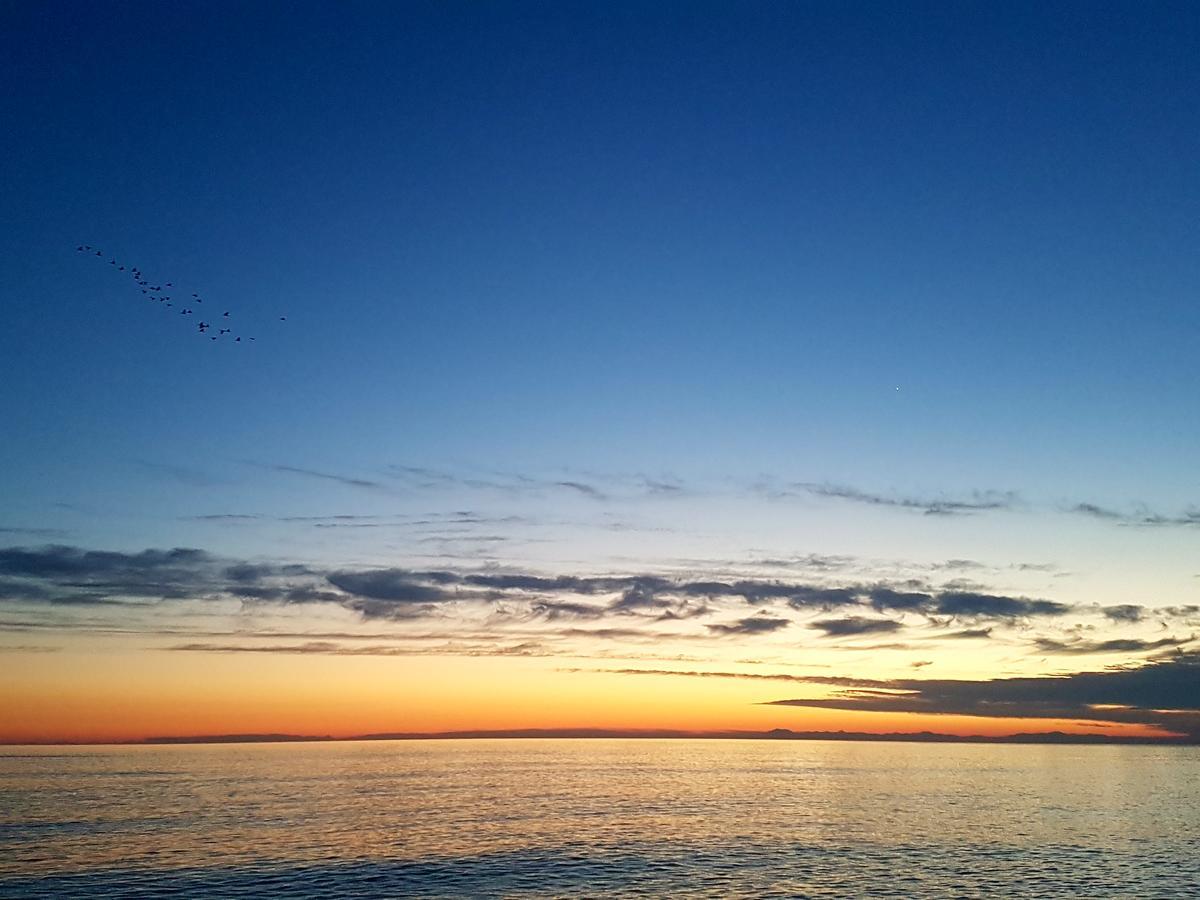 Kestel Seaview