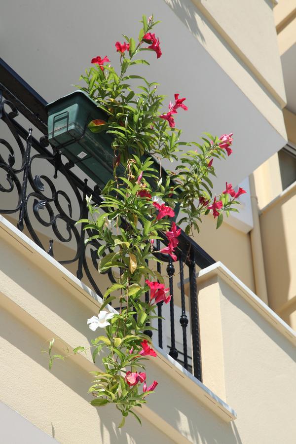 Novella Alanya