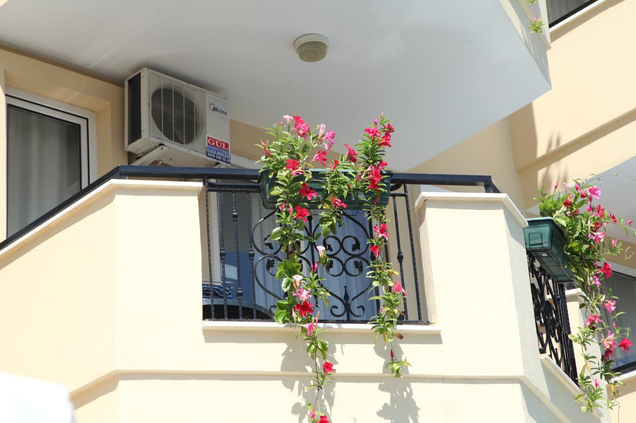 Novella Alanya