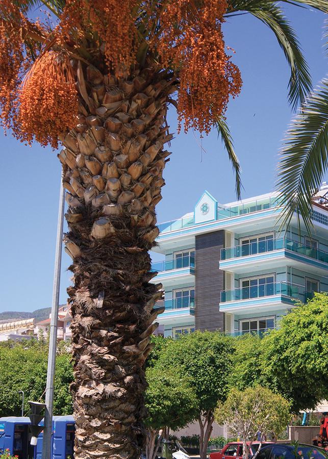 Apartment Cleopatra Beach Alanya