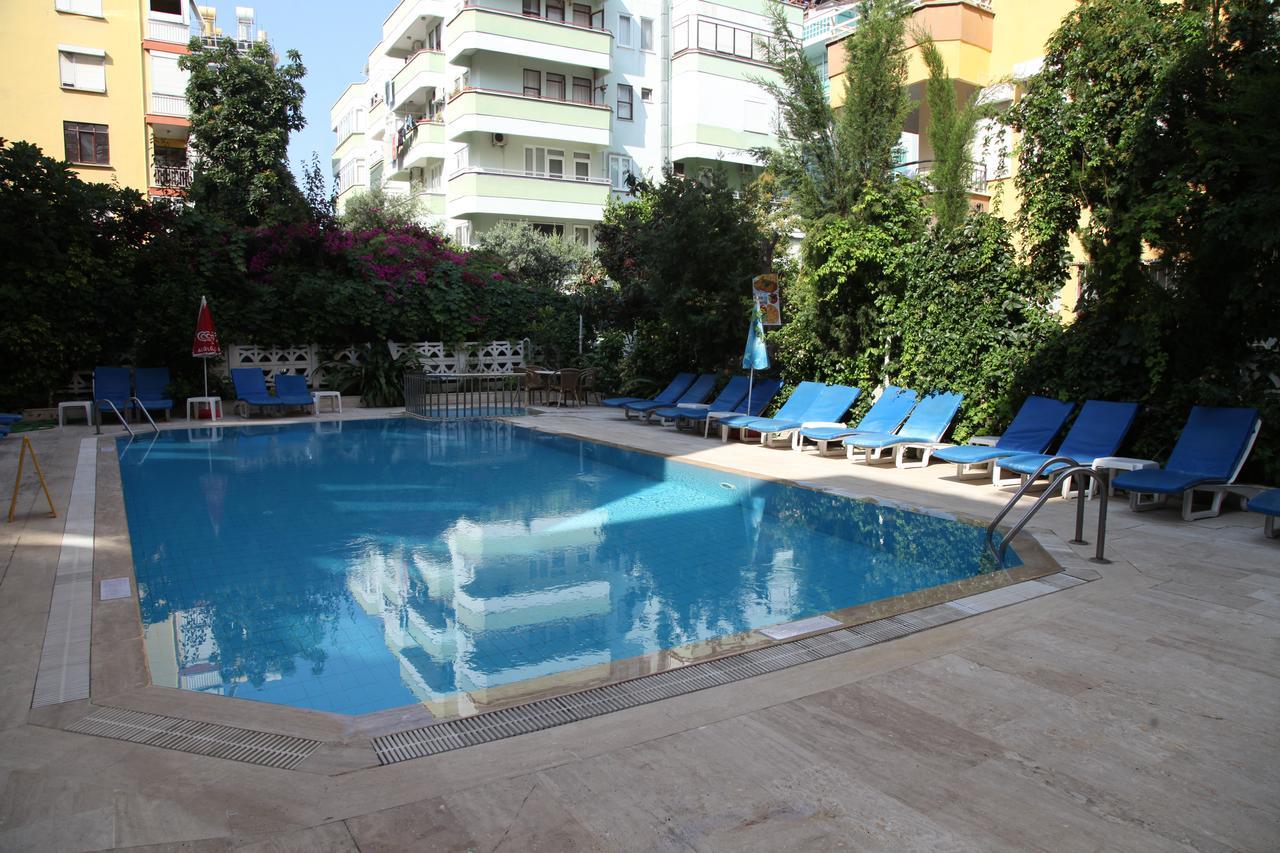Alin Alanya