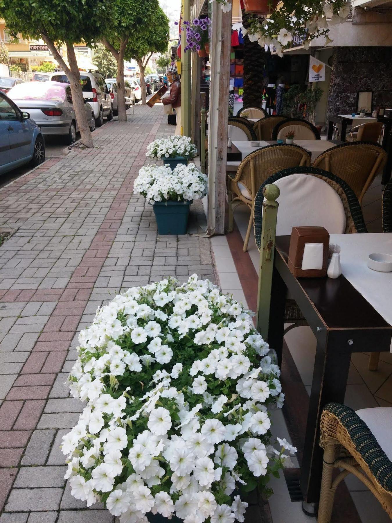 Ada-1 Alanya