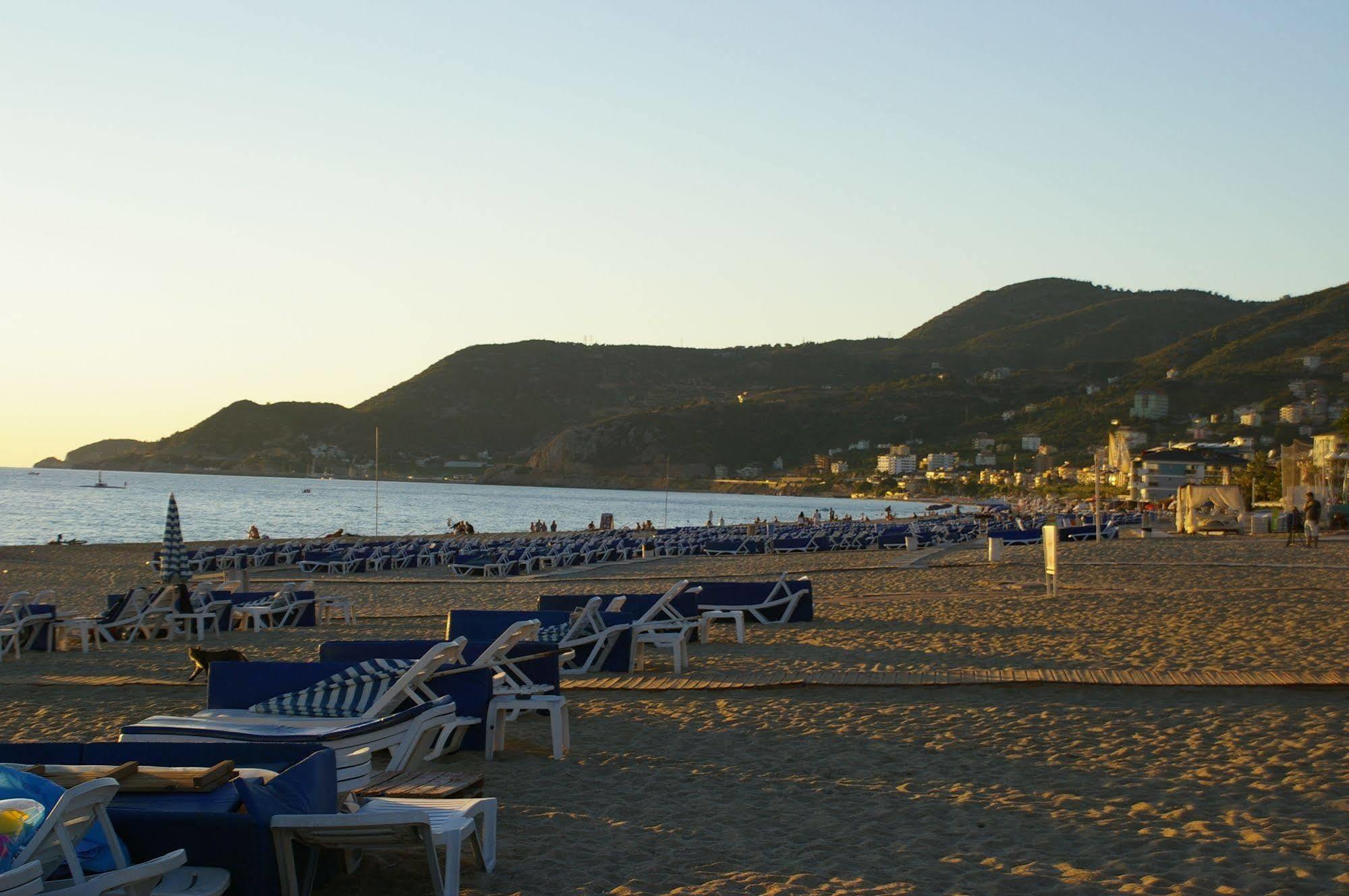 Aysev Alanya