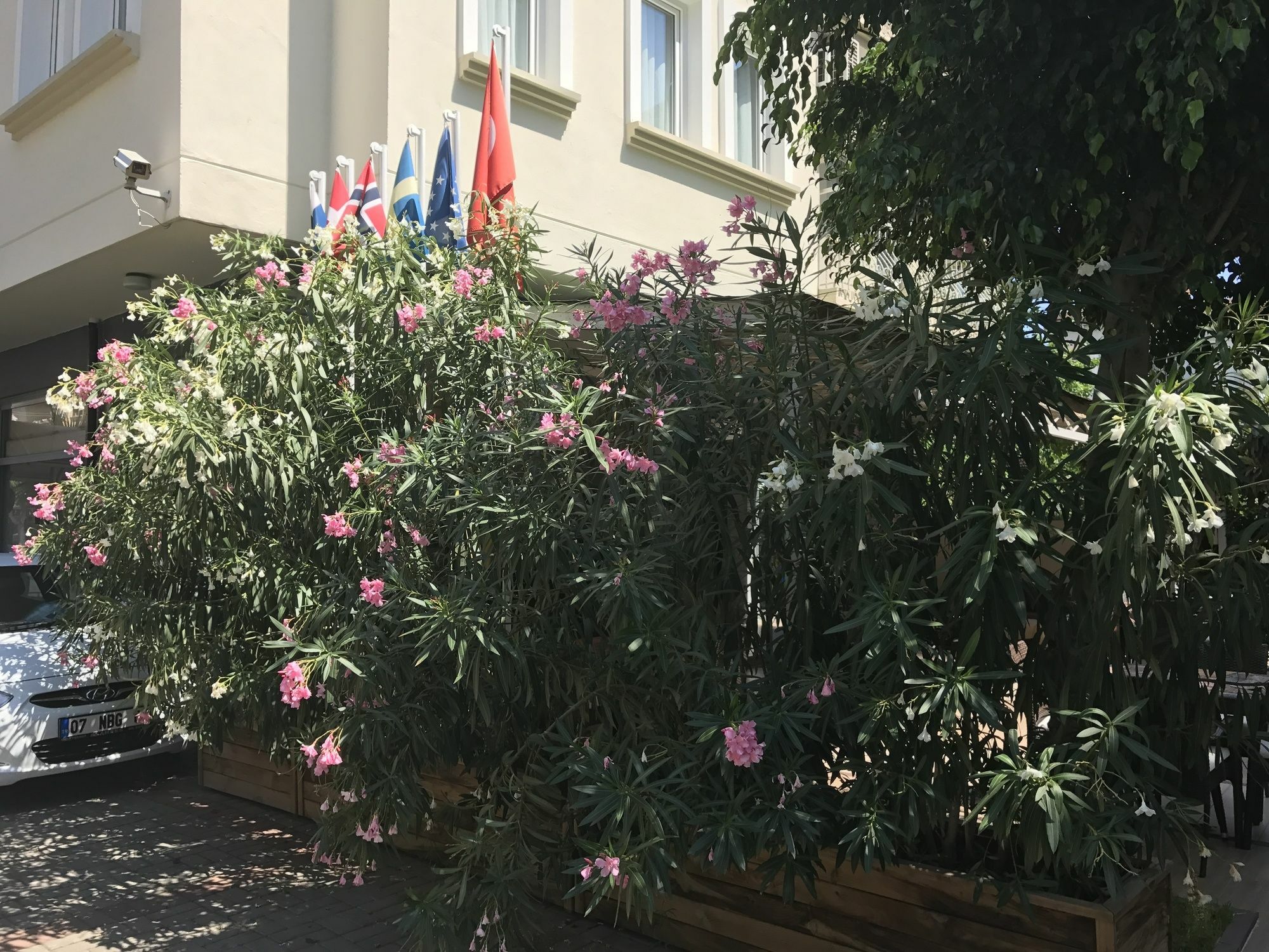 Aparthotel Narcis