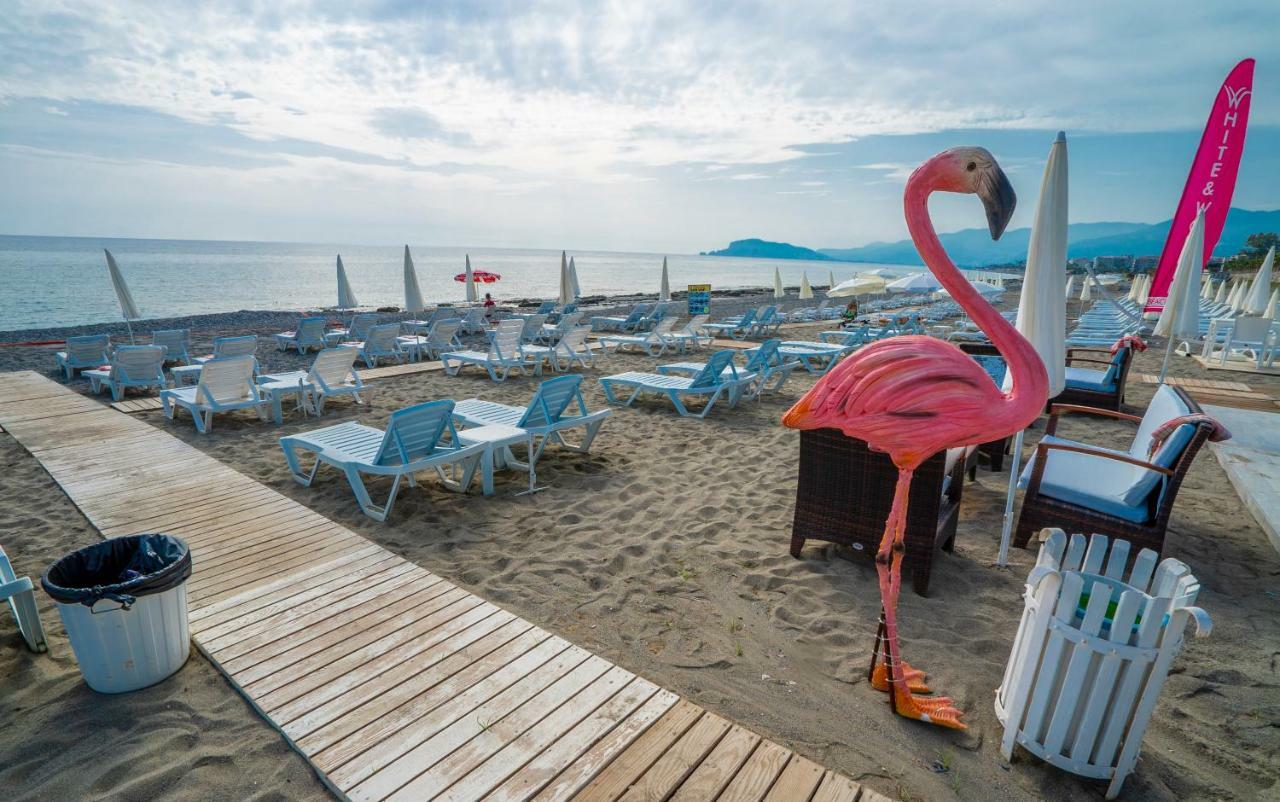 Hotel Campus Hill Alanya
