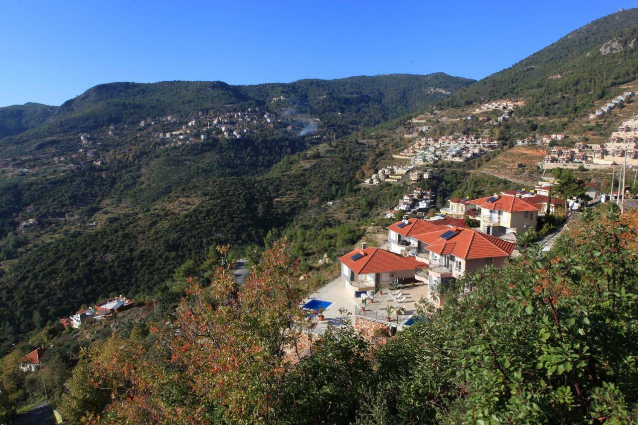 Villa Platanus