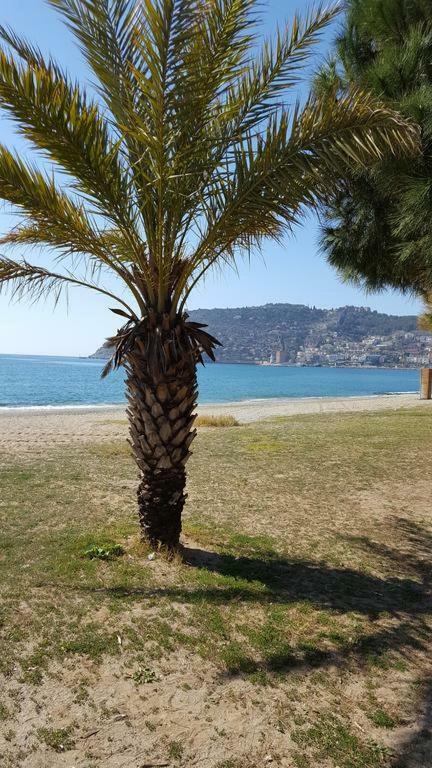 Apartment Bolat Tatil Evleri Alanya