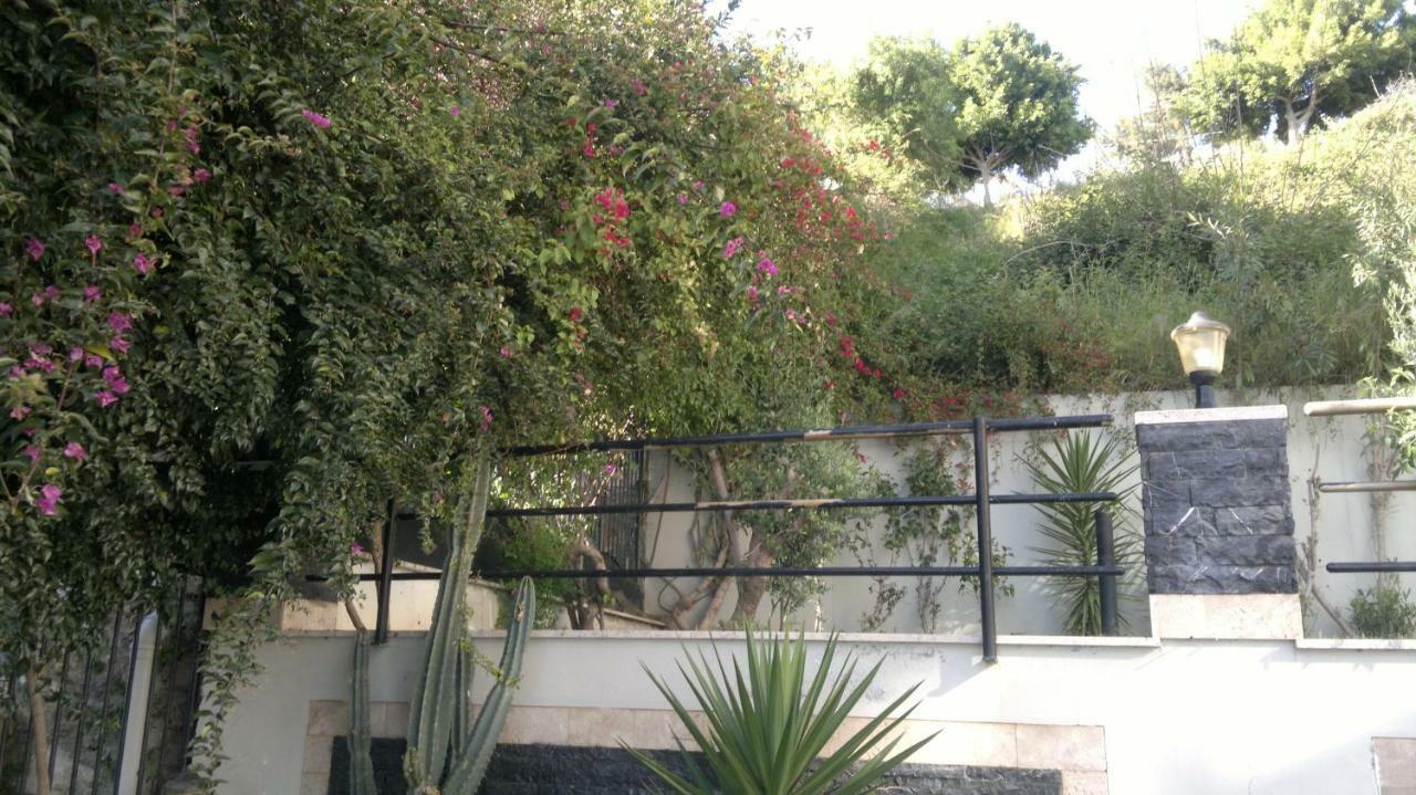 Küçük Hasbahçe Caddesi * Alanya