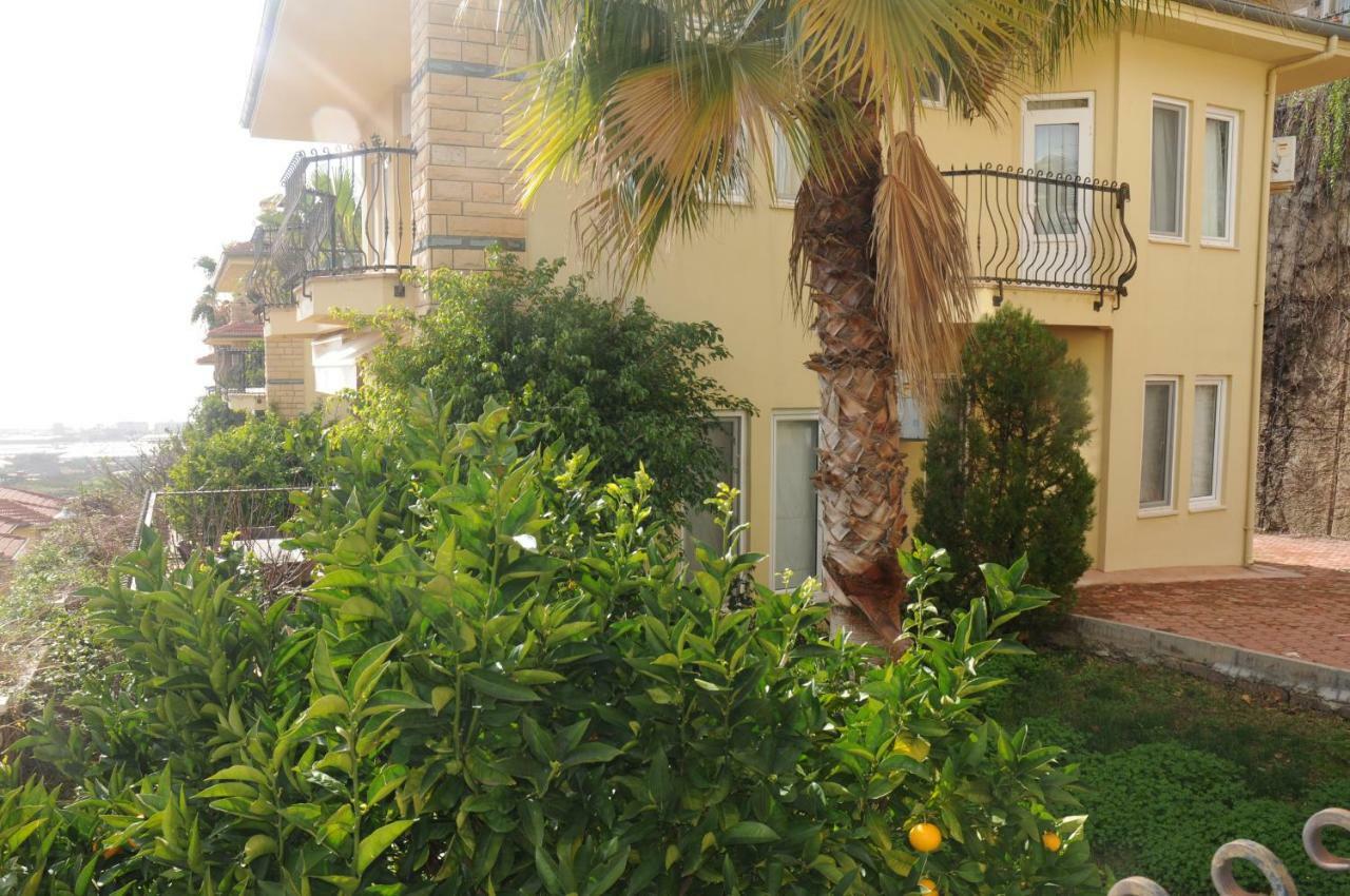 Gold Private 3+1 With Free Aquapark Villa