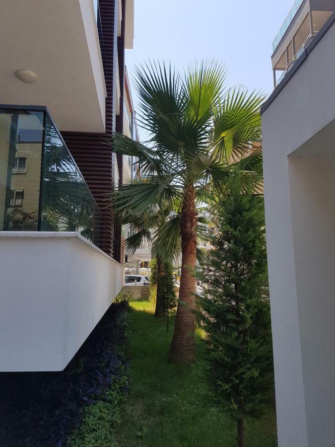 Apartment Cleopatra Crown *