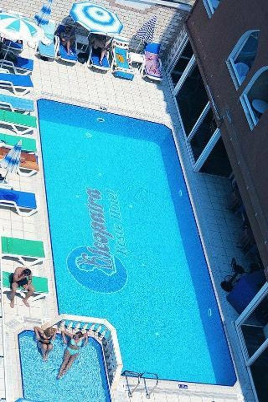 Aslan & Hotel 4*